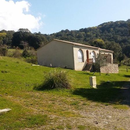 Courtaline Villa Pietralba ภายนอก รูปภาพ